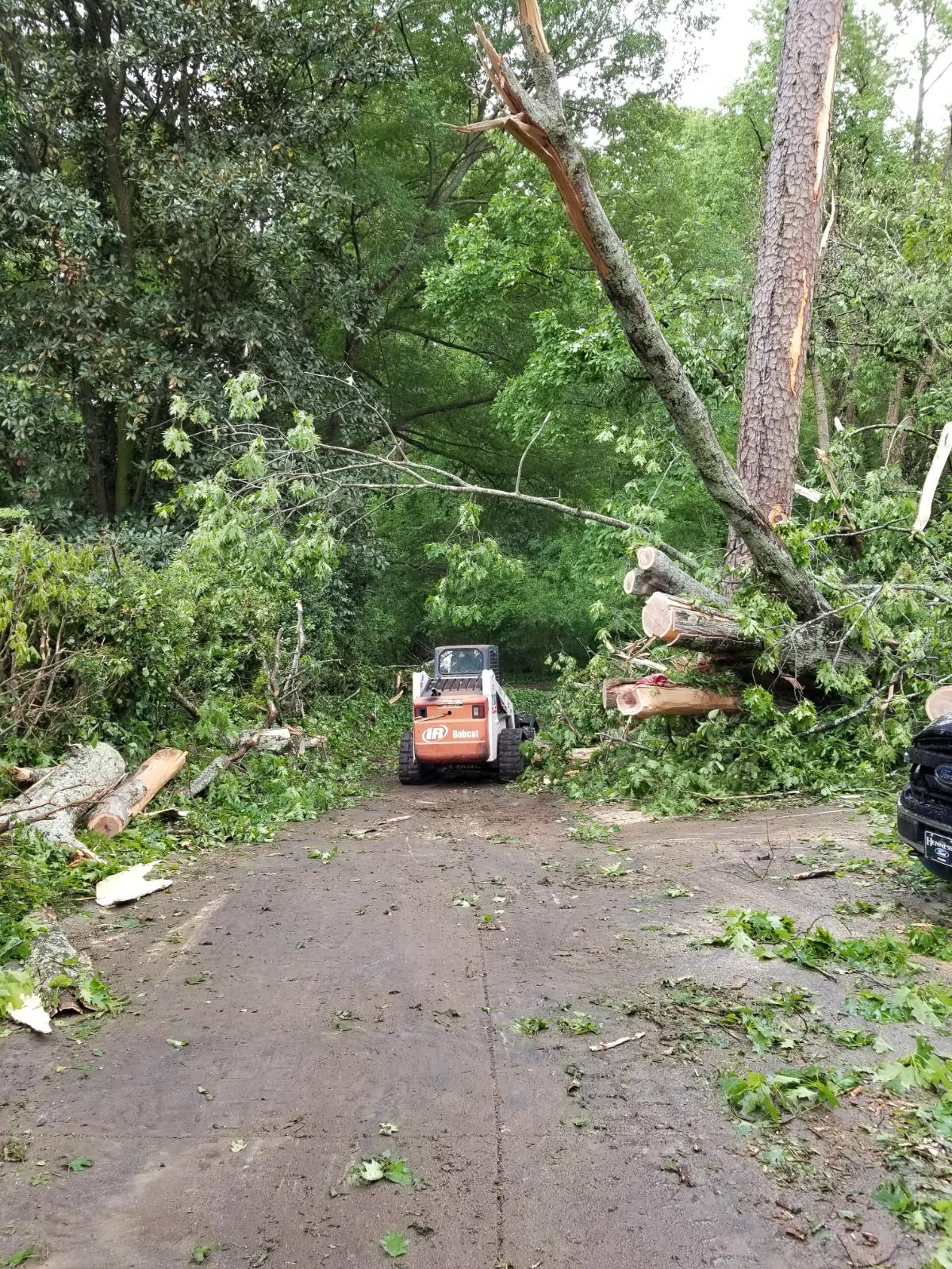 Firewood For All Seasons Tree Service